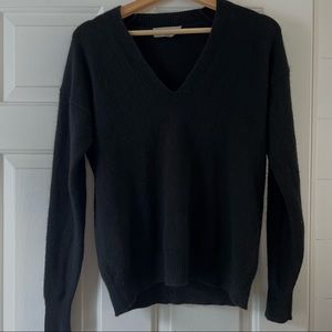 Everlane Cashmere V-Neck Sweater